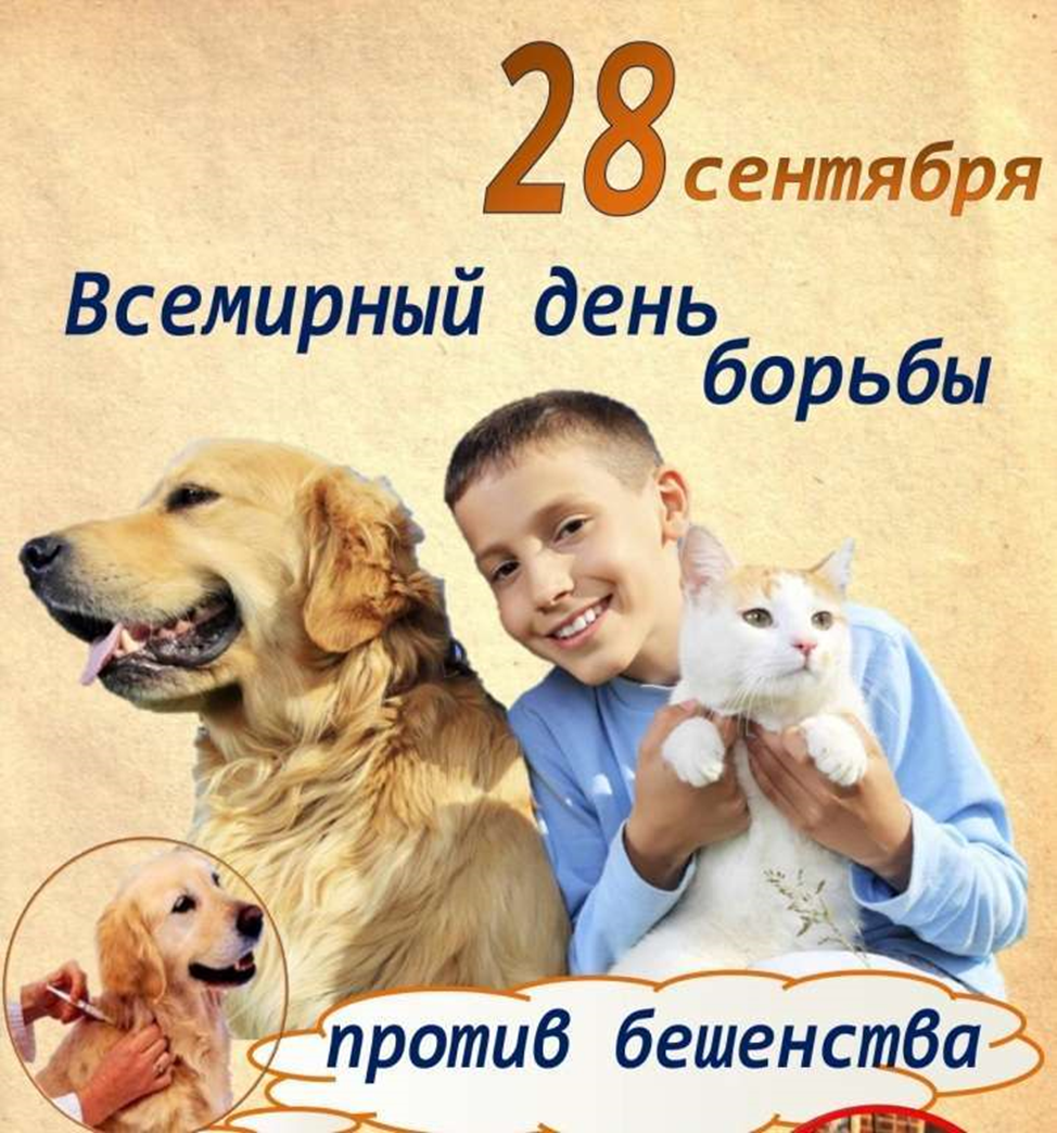 240927112637647-1727425596270.png